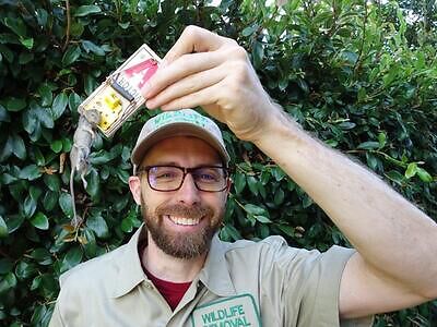 Orlando pest control
